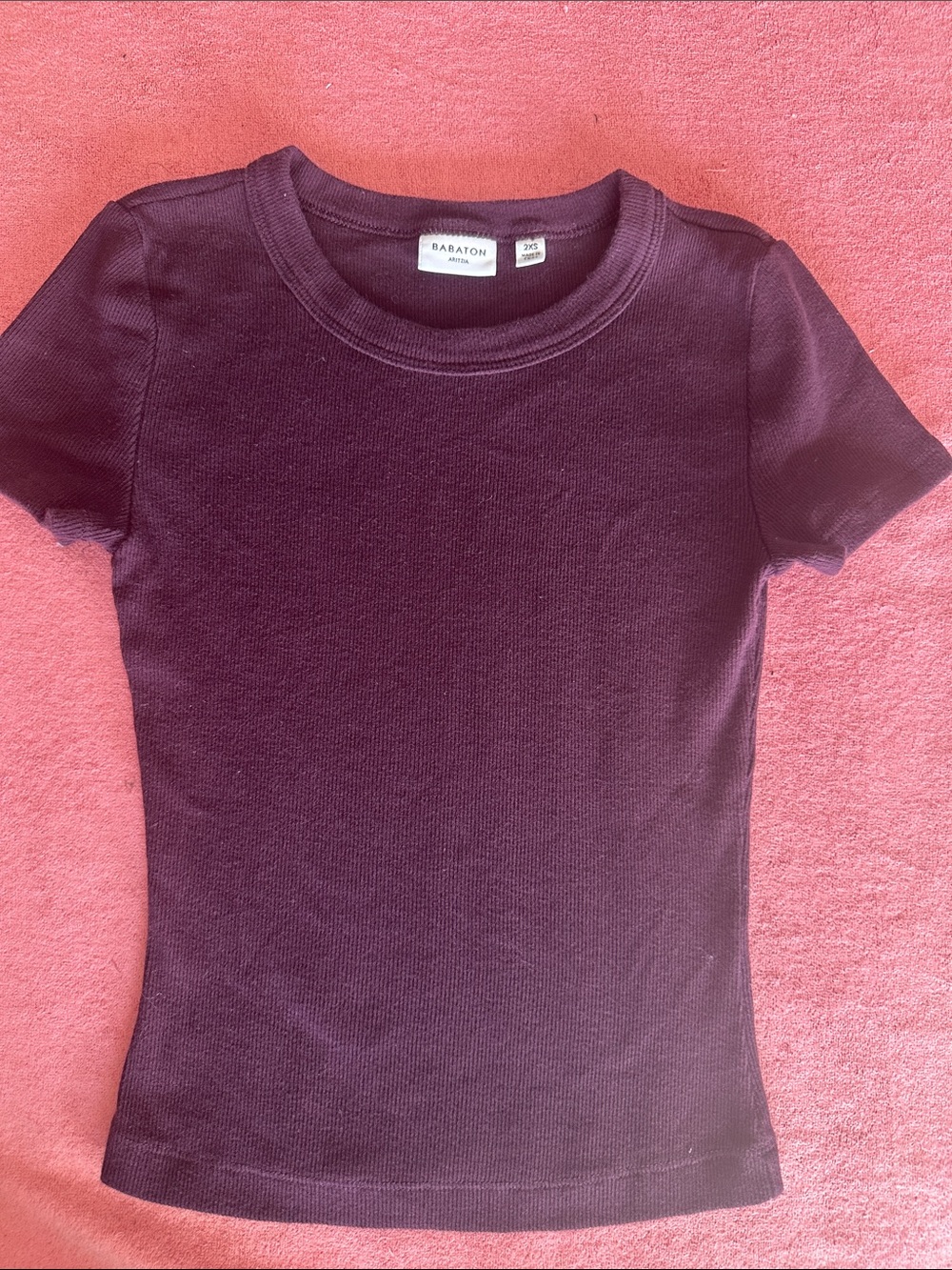Aritzia Babaton Deep Plum Ribbed Tee